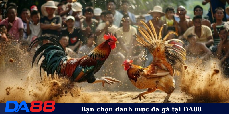 Bạn chọn danh mục đá gà tại DA88