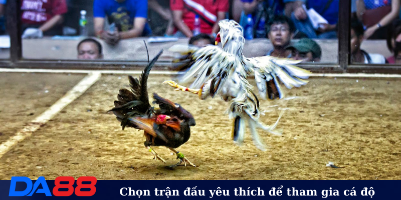 Chọn trận đấu yêu thích để tham gia cá độ