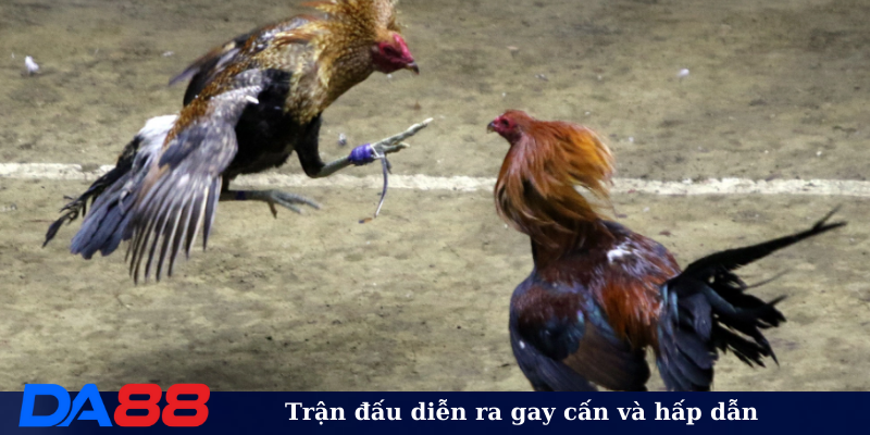 Trận đấu diễn ra gay cấn và hấp dẫn