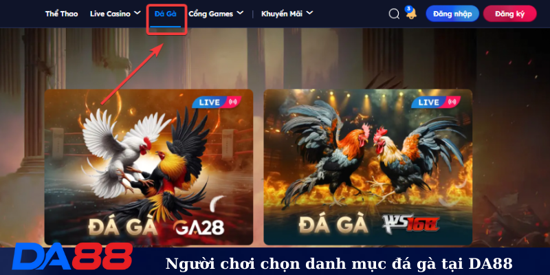 Người chơi chọn danh mục đá gà tại DA88