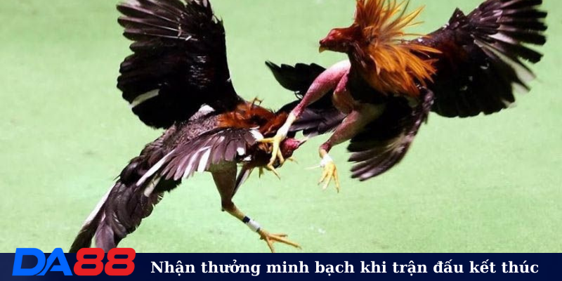 Nhận thưởng minh bạch khi trận đấu kết thúc