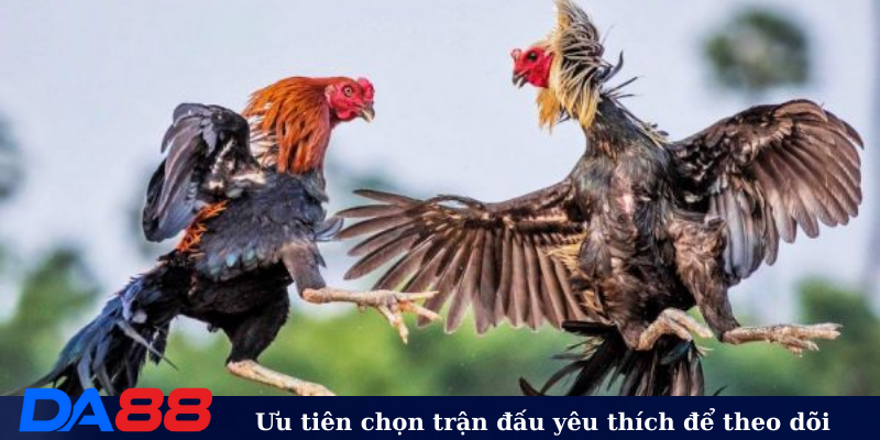 Ưu tiên chọn trận đấu yêu thích để theo dõi