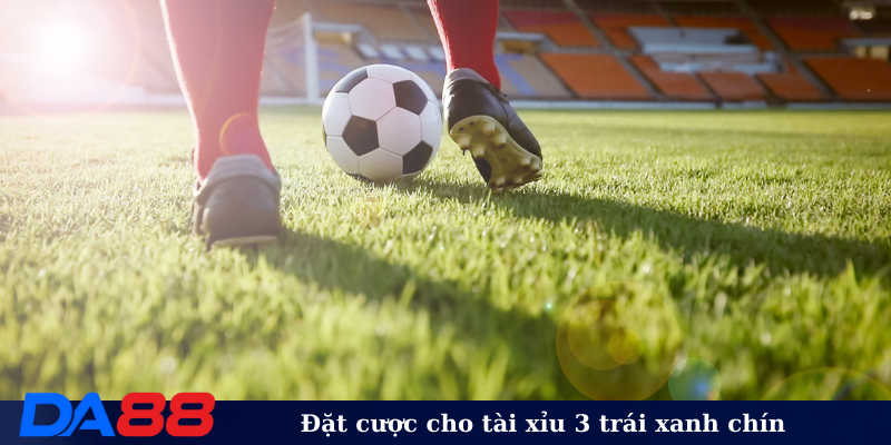 Đặt cược cho tài xỉu 3 trái xanh chín