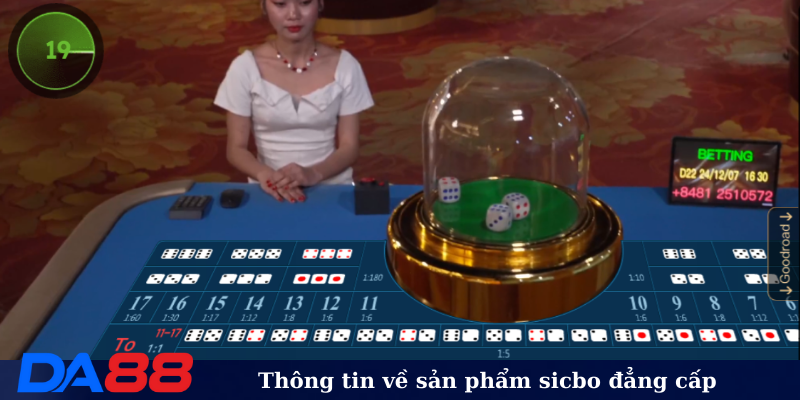 Thông tin về sản phẩm sicbo đẳng cấp