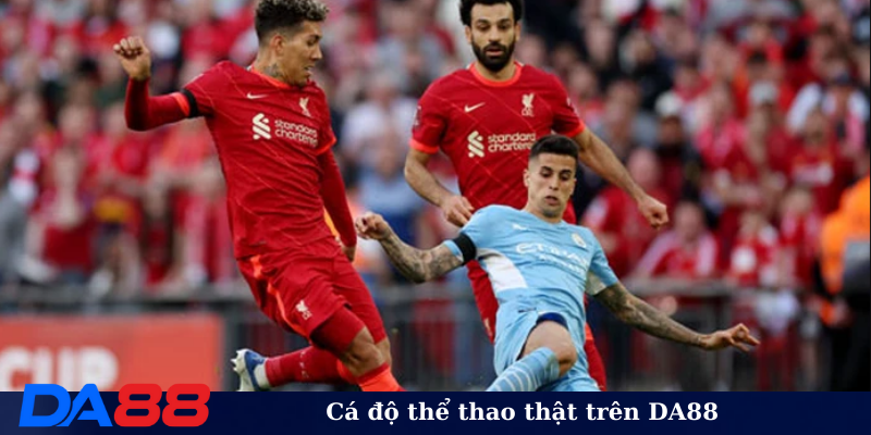 Cá độ thể thao thật trên DA88